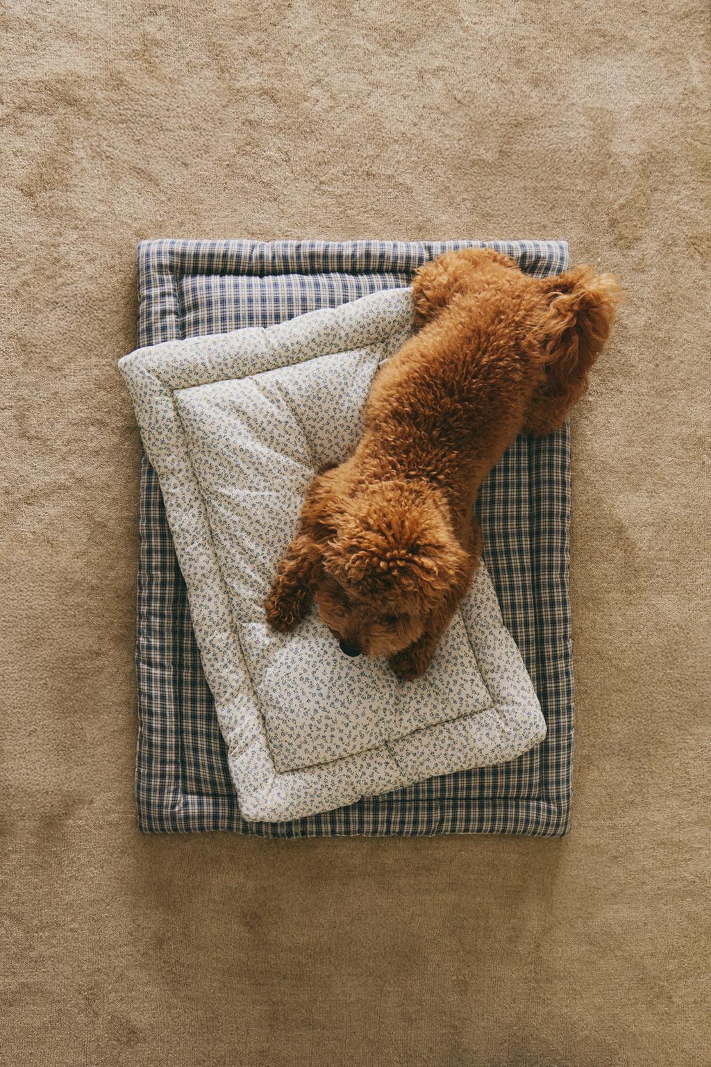 Топпер для питомца в клетчатом и цветочном дизайне