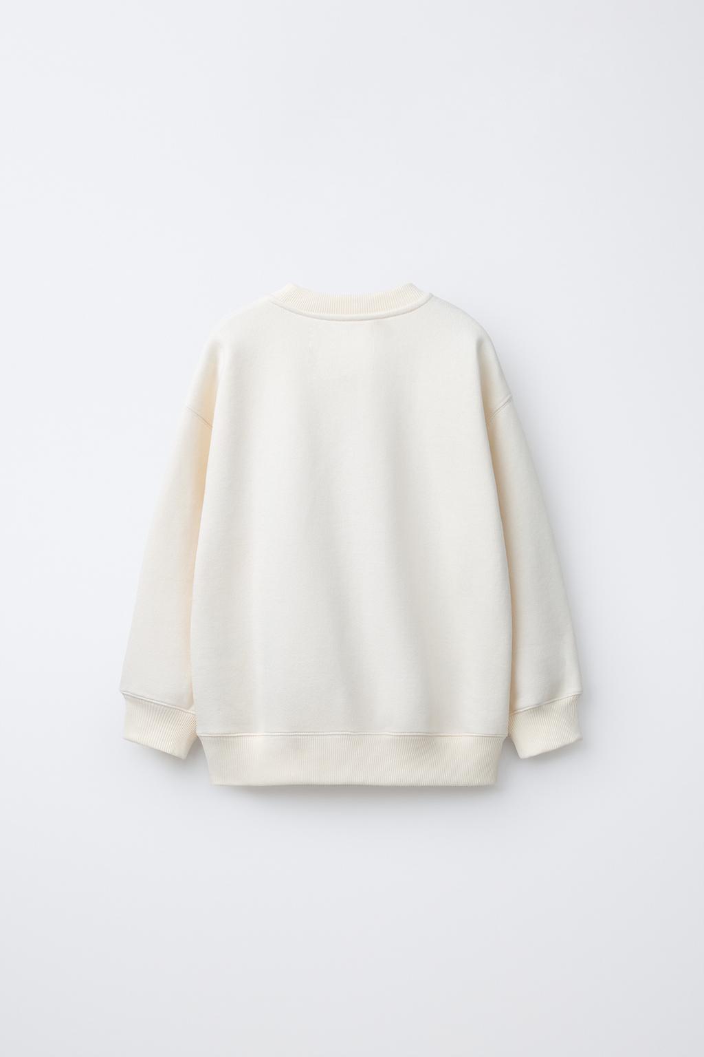 ТОЛСТОВКА С НАШИВКАМИ «ВИШНИ»