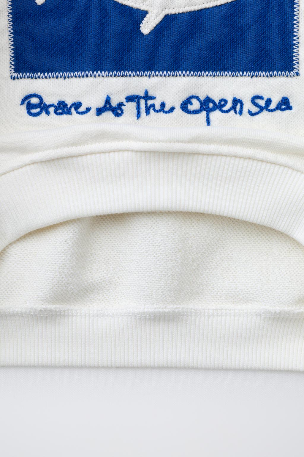 ТОЛСТОВКА С ВЫШИВКОЙ