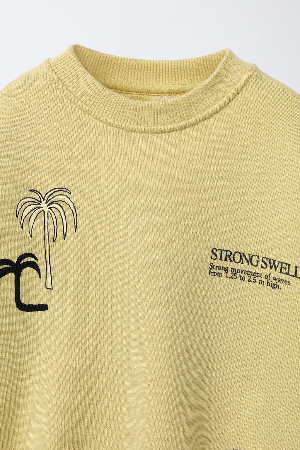 ТОЛСТОВКА С ПРИНТОМ «СЕРФИНГ»