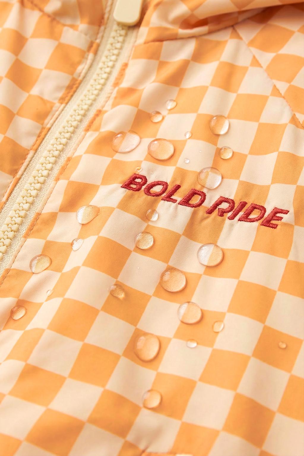 ЛЕГКИЙ ДОЖДЕВИК В КЛЕТКУ