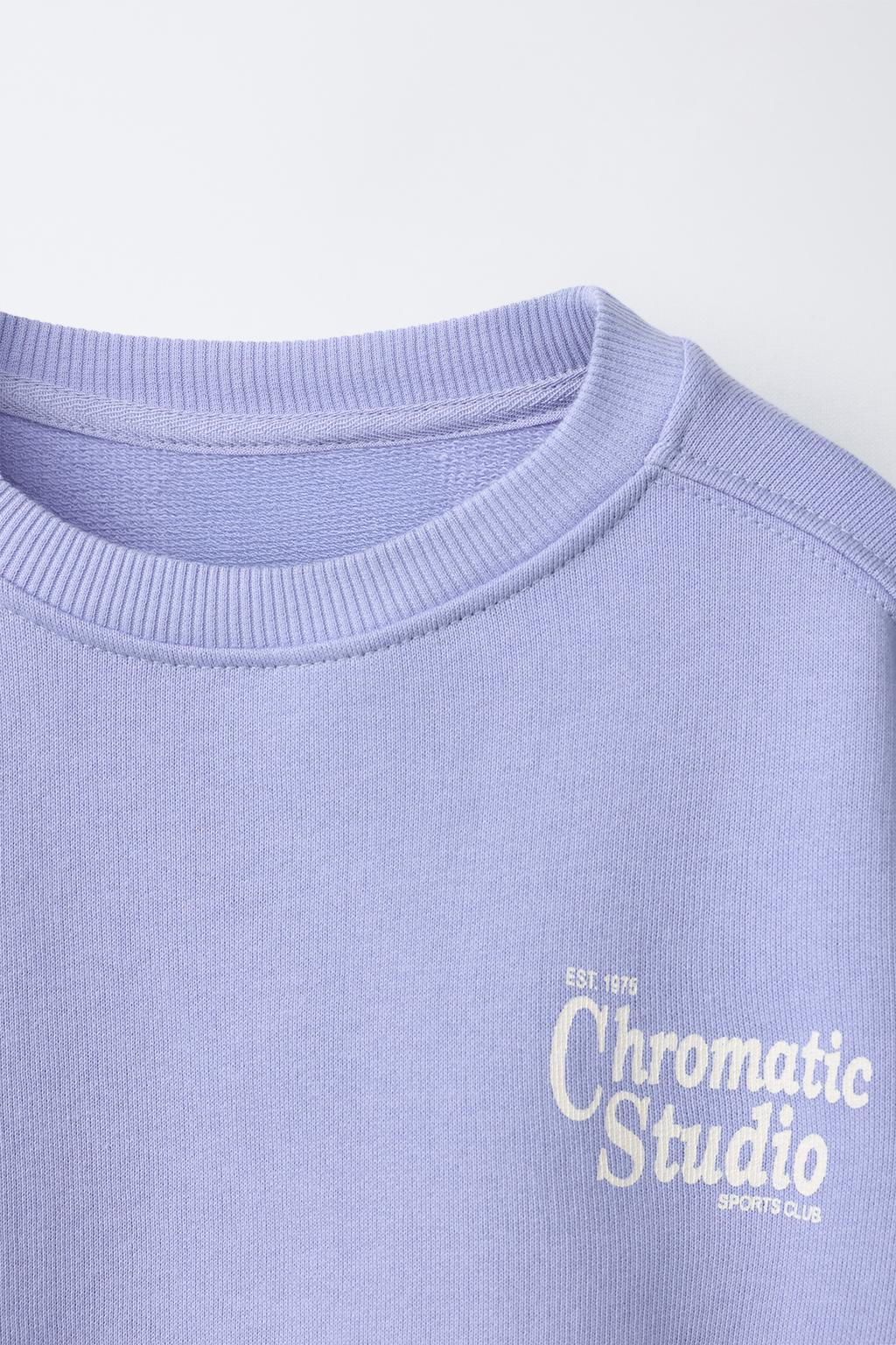 ТОЛСТОВКА С ТЕКСТОВЫМ ПРИНТОМ