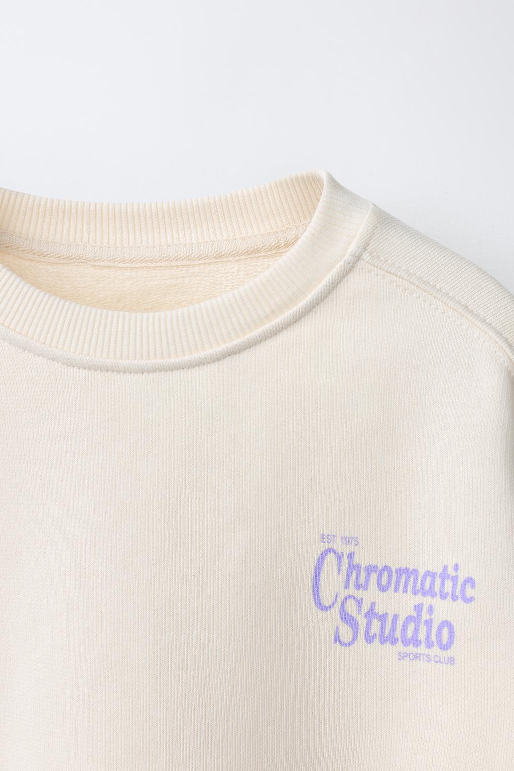 ТОЛСТОВКА С ТЕКСТОВЫМ ПРИНТОМ