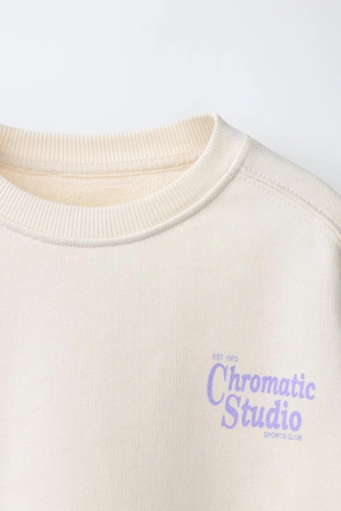 Толстовка с текстовым принтом- Заказать в России