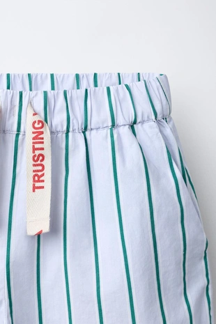 Брюки в полоску с принтом- Заказать в России