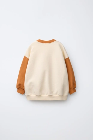 Толстовка колор-блок с вышивкой- Заказать в России