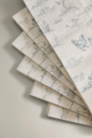 Набор бумажных салфеток с принтом (набор из 20 штук)- Заказать в России