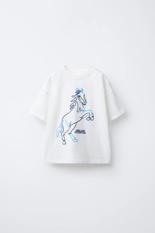 Футболка с принтом- Заказать в России