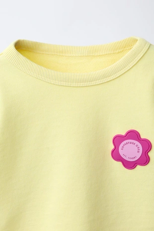 Комплект из толстовки и шортов с прорезиненным цветом- Заказать в России