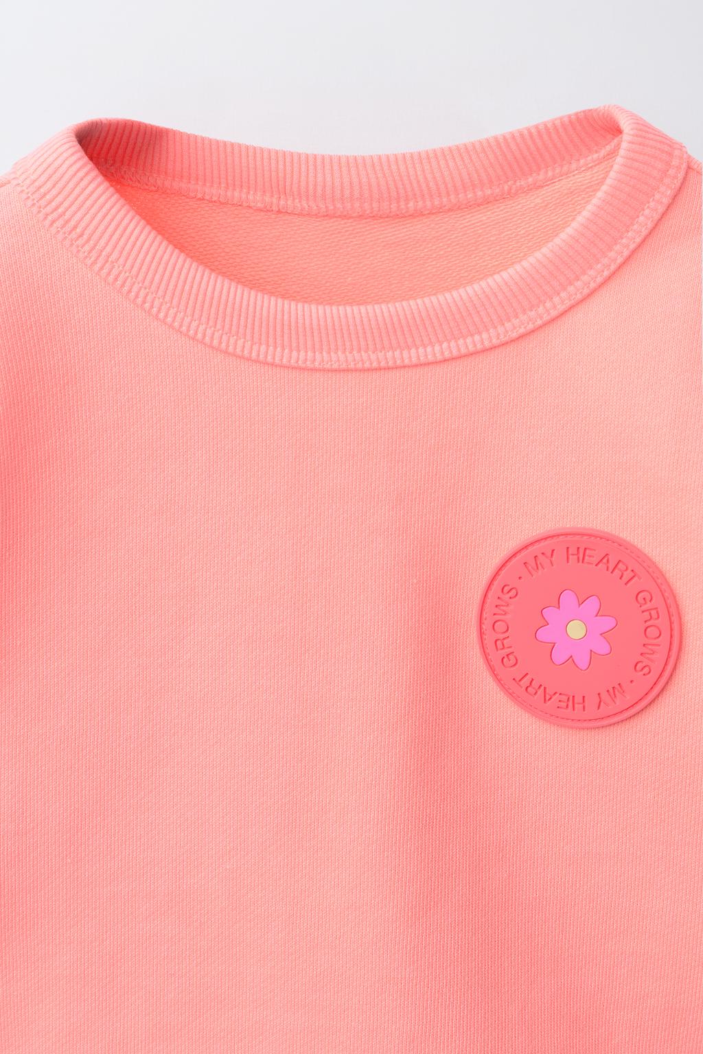 КОМПЛЕКТ ИЗ ТОЛСТОВКИ И ШОРТ С РЕЗИНОВЫМ ЦВЕТКОМ