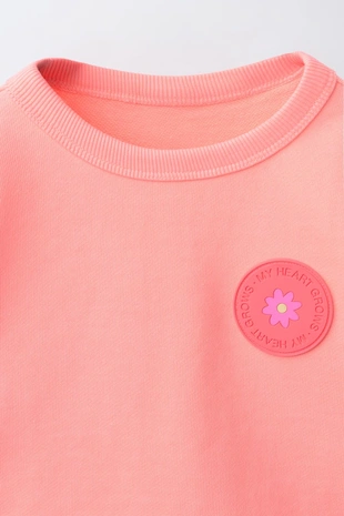 Комплект из толстовки и шорт с резиновым цветком