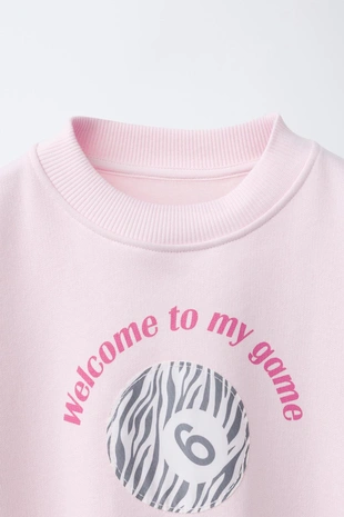 Толстовка с принтом «бильярдный шар и зебра»- Заказать в России