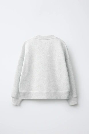 Толстовка с текстом и медведем- Заказать в России