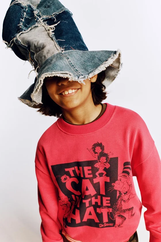 ТОЛСТОВКА THE CAT IN THE HAT DR. SEUSS™