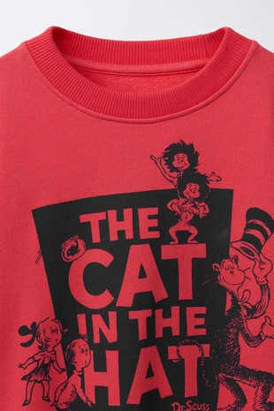 Толстовка The Cat In The Hat Dr. Seuss™- Заказать в России