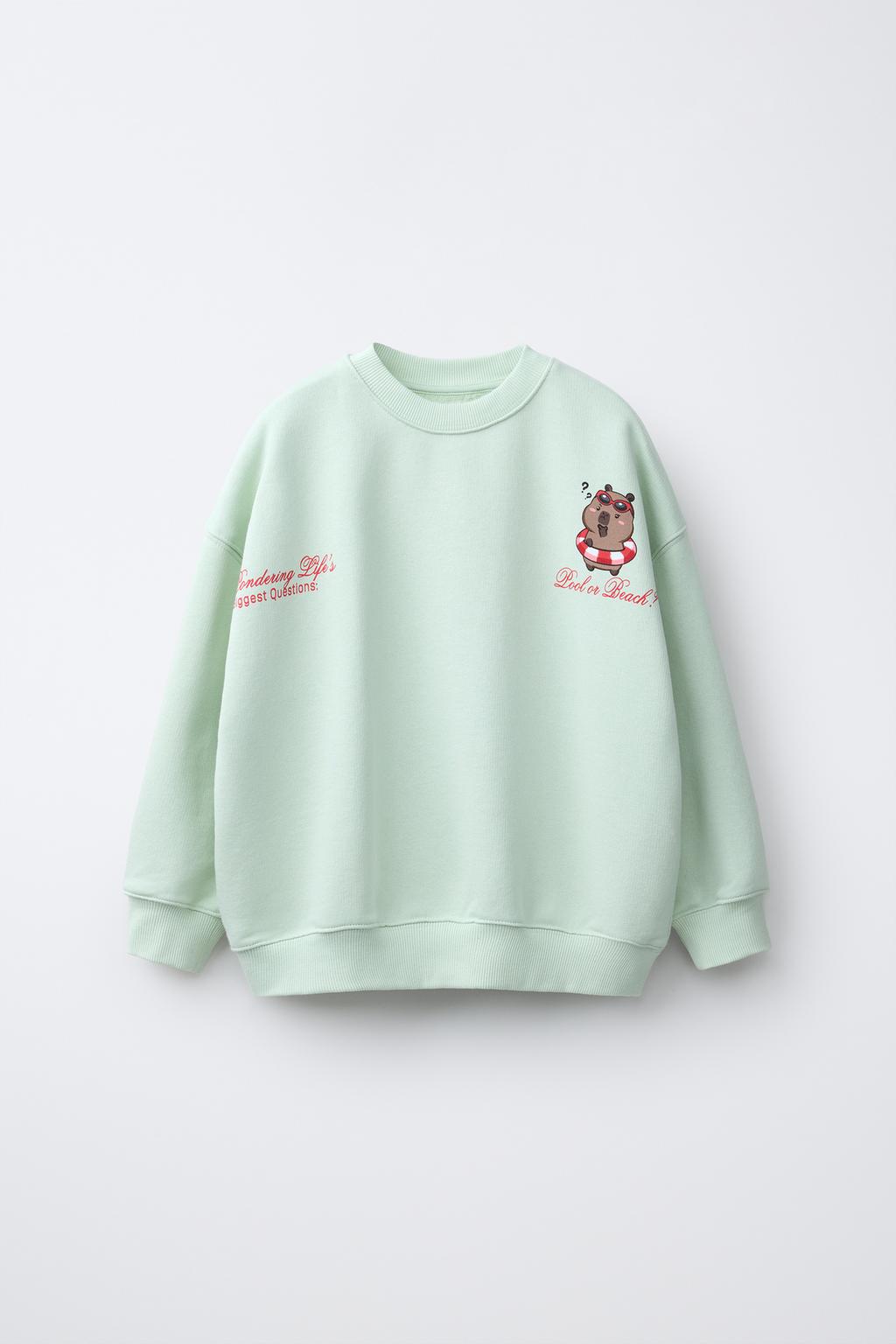 ТОЛСТОВКА С ПРИНТОМ «КАПИБАРА CAPYFUN ©»