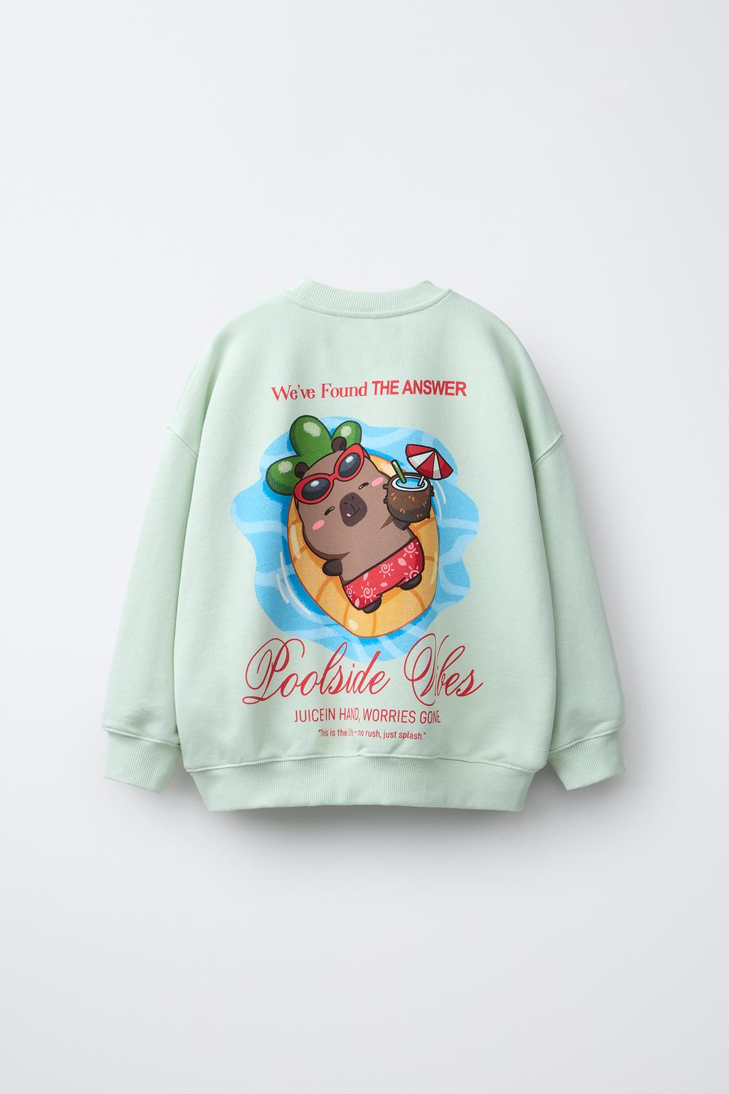 ТОЛСТОВКА С ПРИНТОМ «КАПИБАРА CAPYFUN ©»