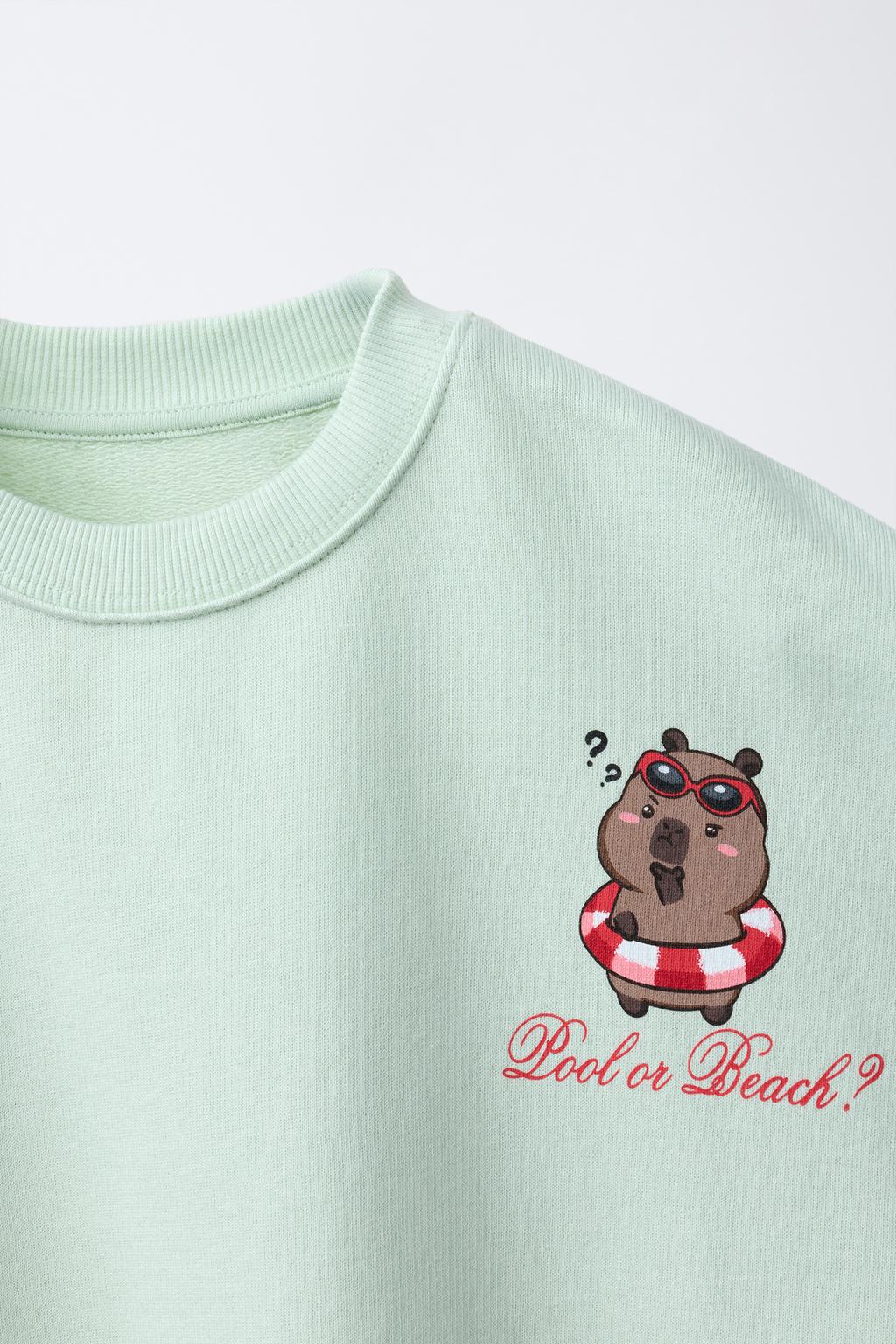 ТОЛСТОВКА С ПРИНТОМ «КАПИБАРА CAPYFUN ©»