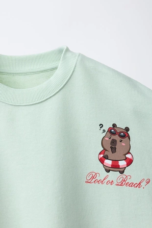 Толстовка с принтом «капибара Capyfun ©»- Заказать в России