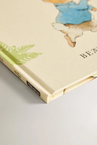 Детская книга сказка о питере кролике (испанский)- Заказать в России