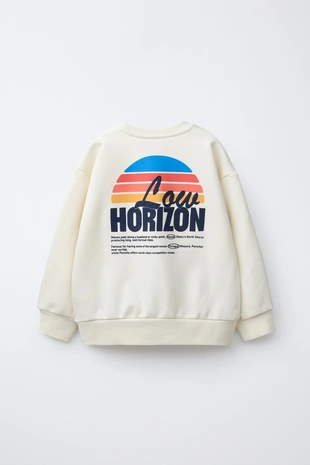 Толстовка с принтом- Заказать в России