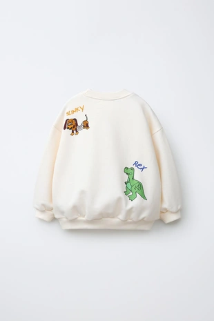 Толстовка с вышивкой история игрушек © Disney Pixar- Заказать в России