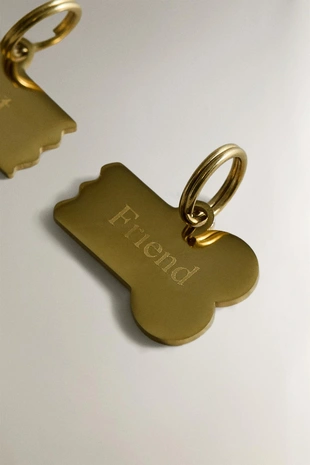 Подвеска для питомца «лучший друг» в виде кости- Заказать в России