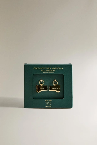 Подвеска для питомца «лучший друг» в виде кости- Заказать в России