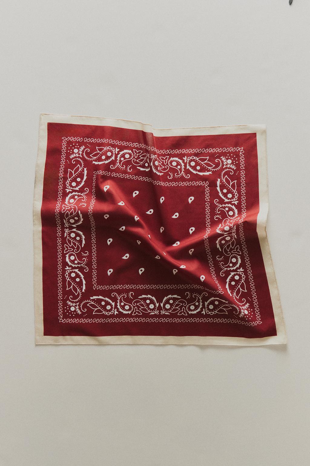 Хлопковая бандана для домашних животных с пейсли