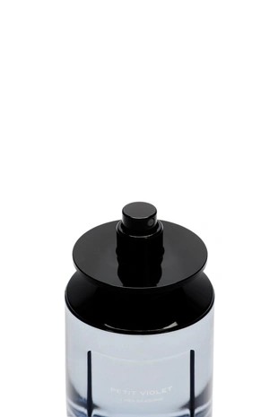 TINTED LEATHER | 0110/997/999 - Zara Парфюмерная вода петит виолет 100 мл / 3.4 жидк. унц.