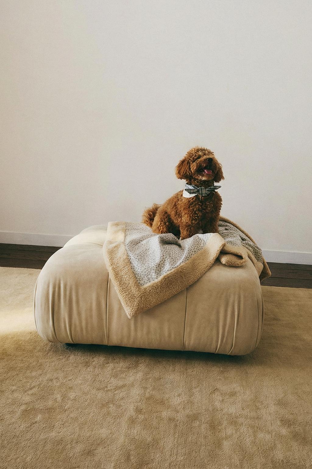 Плед для домашних животных с цветочным узором