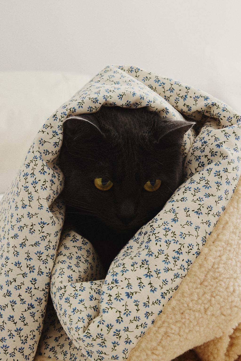 Плед для домашних животных с цветочным узором