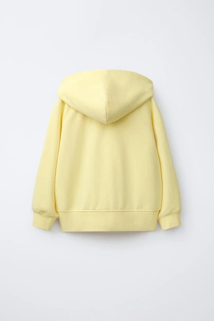 Толстовка на молнии- Заказать в России