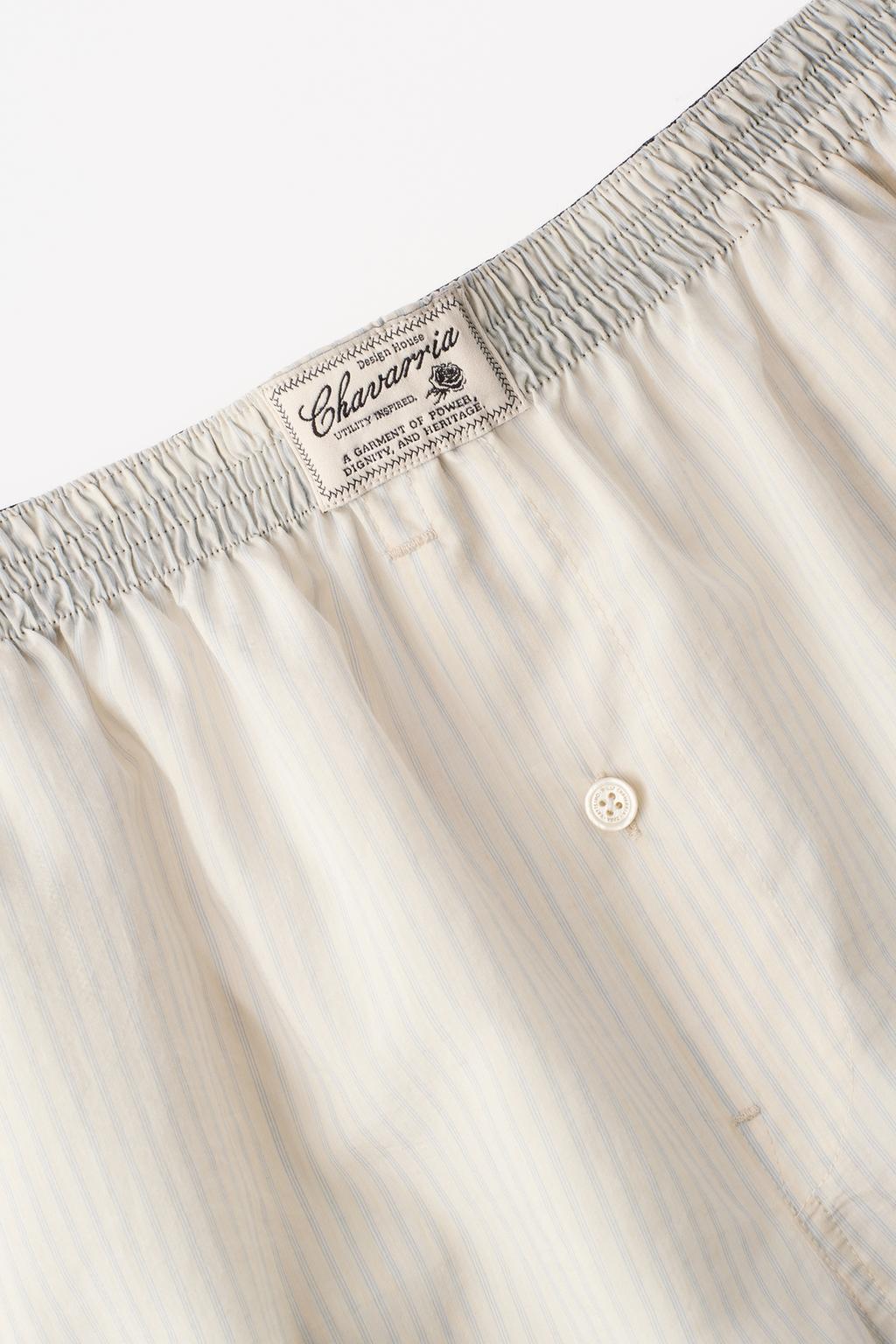 Полосатые трусы willy chavarria x zara