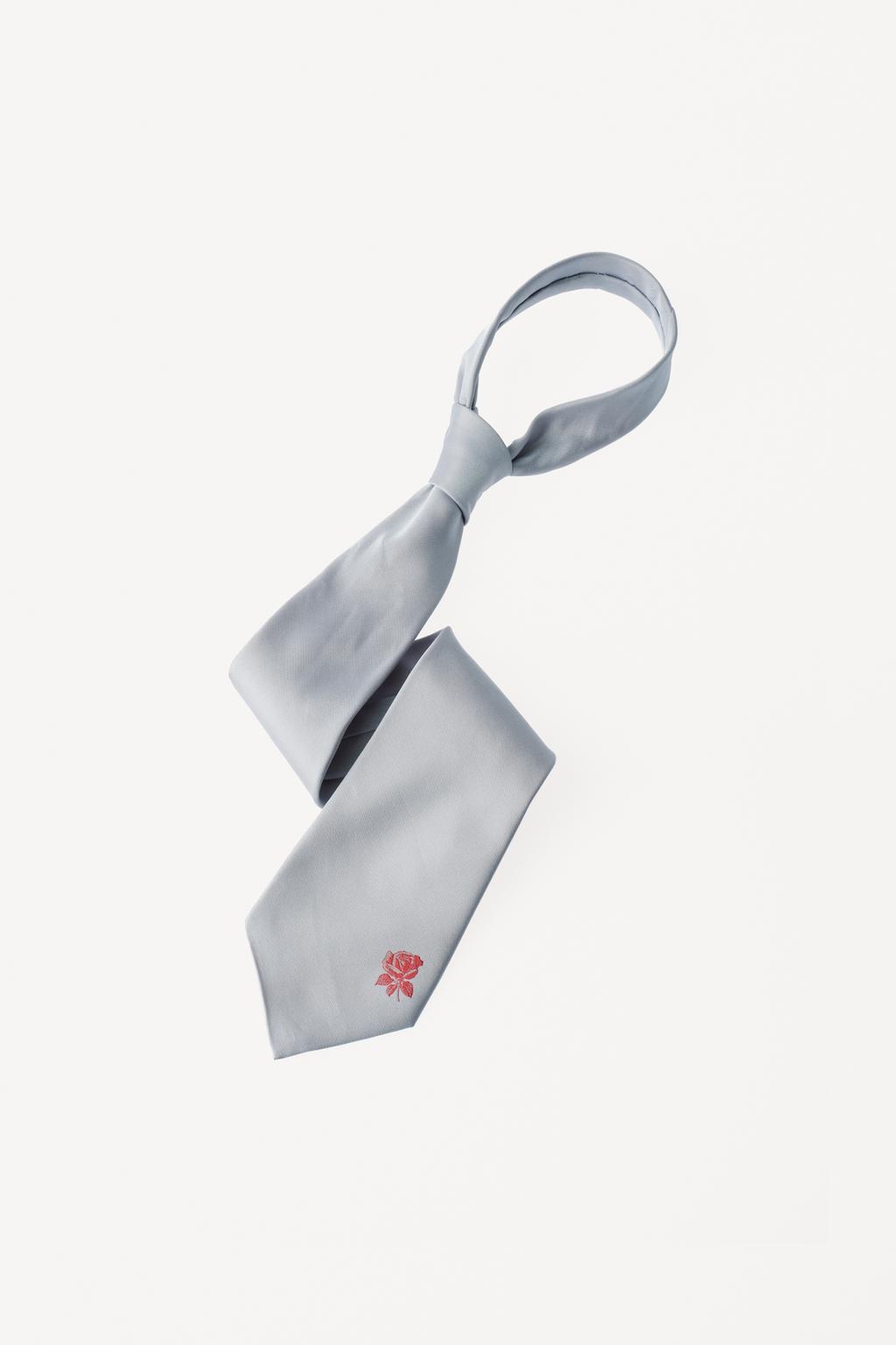 Галстук с вышивкой из 100% шелка willy chavarria x zara