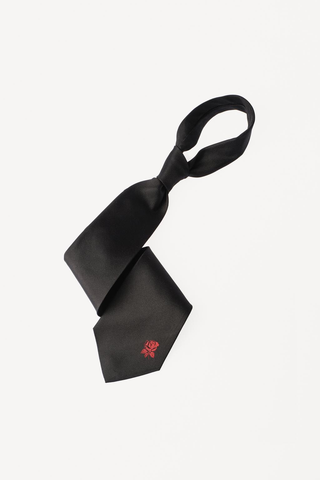 Галстук из 100% шелка с вышивкой willy chavarria x zara