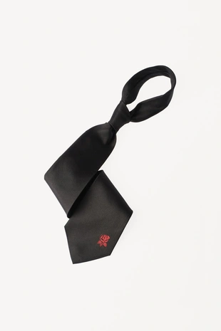 Купить Zara Галстук из 100% шелка с вышивкой WILLY CHAVARRIA X ZARA