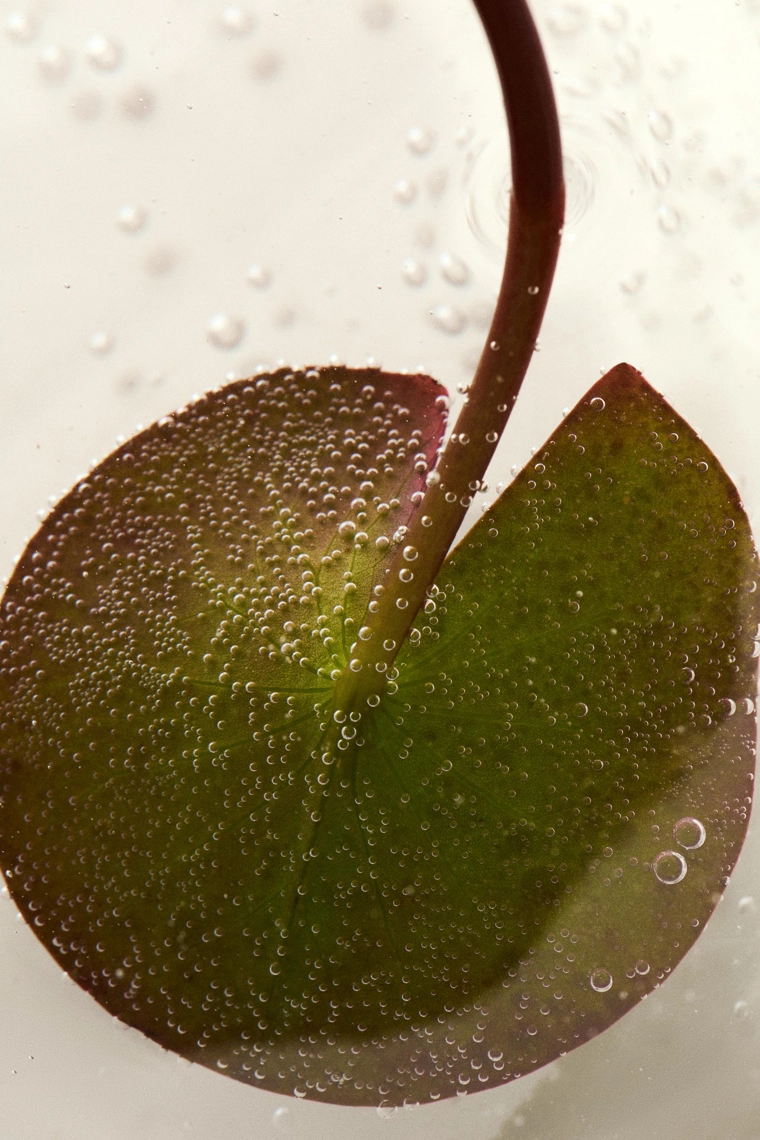 Набор туалетных духов онлайн-эксклюзив - 4 флакона по 75 мл