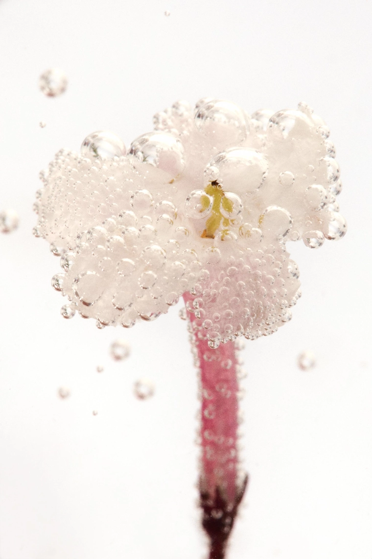 Набор туалетных духов онлайн-эксклюзив - 4 флакона по 75 мл