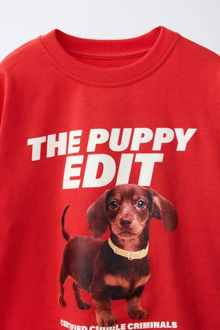 Футболка с принтом «собаки»