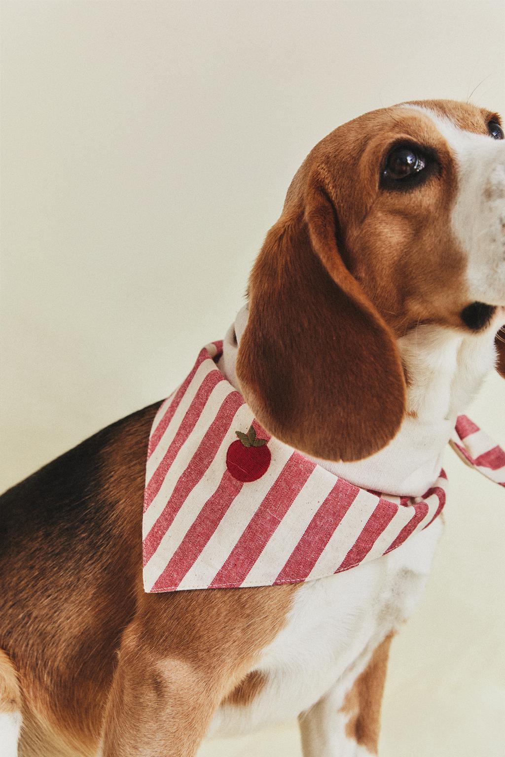 Бандана для питомца с полосками и вышитым помидором