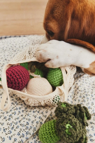 Набор игрушек для домашних животных из овощей- Заказать в России