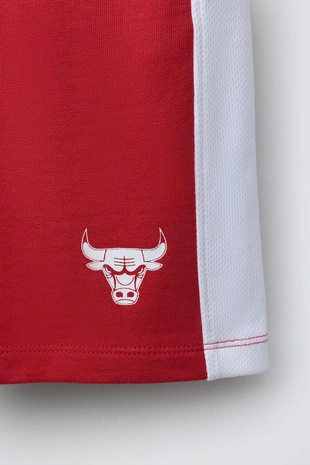 Шорты из мягкой ткани Nba — Chicago Bulls- Заказать в России