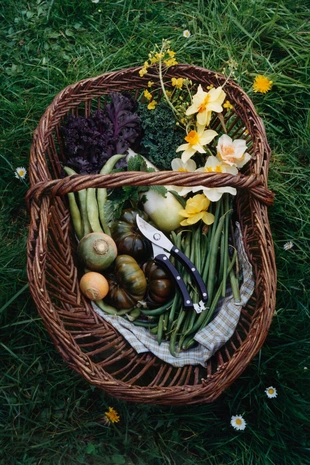 Секатор для сада- Заказать в России