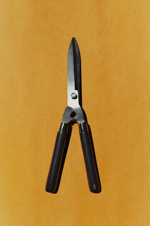 Короткие садовые ножницы для обрезки живой изгороди- Заказать в России