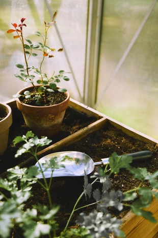 Лопата для сада garden scoop- Заказать в России