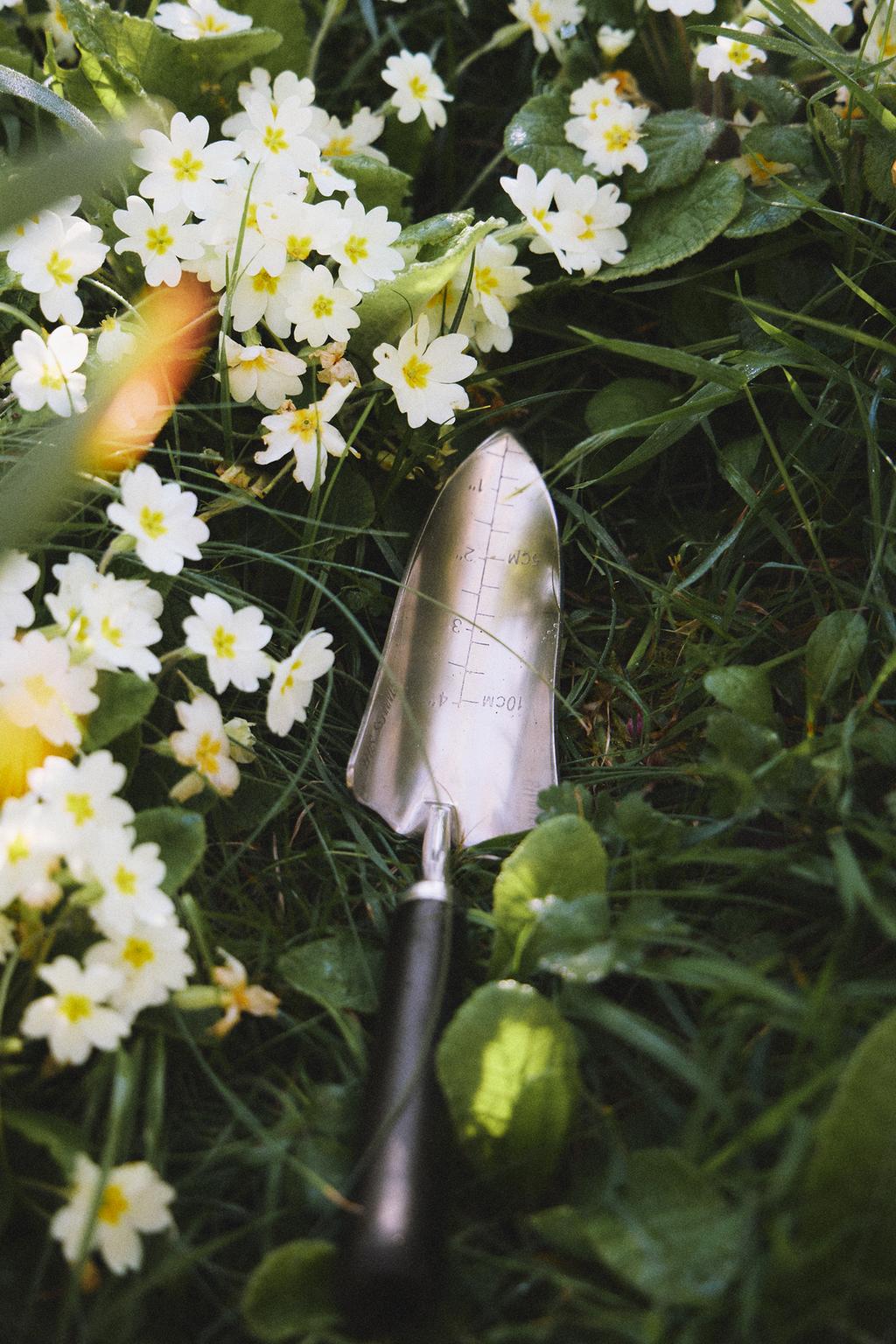 Маленькая садовая лопата