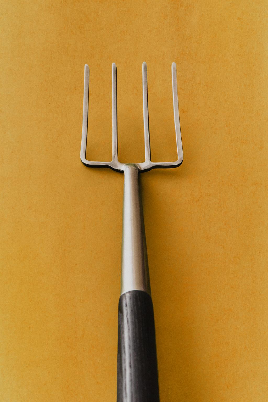 Садовый вилы zara