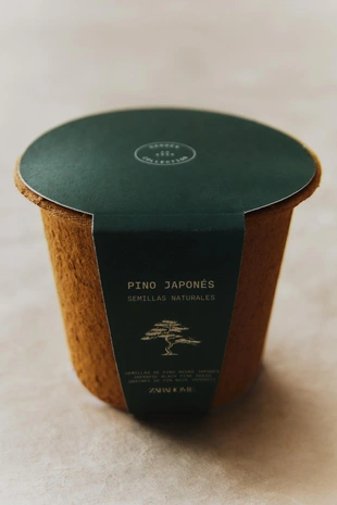 Набор для выращивания семян черной сосны- Заказать в России