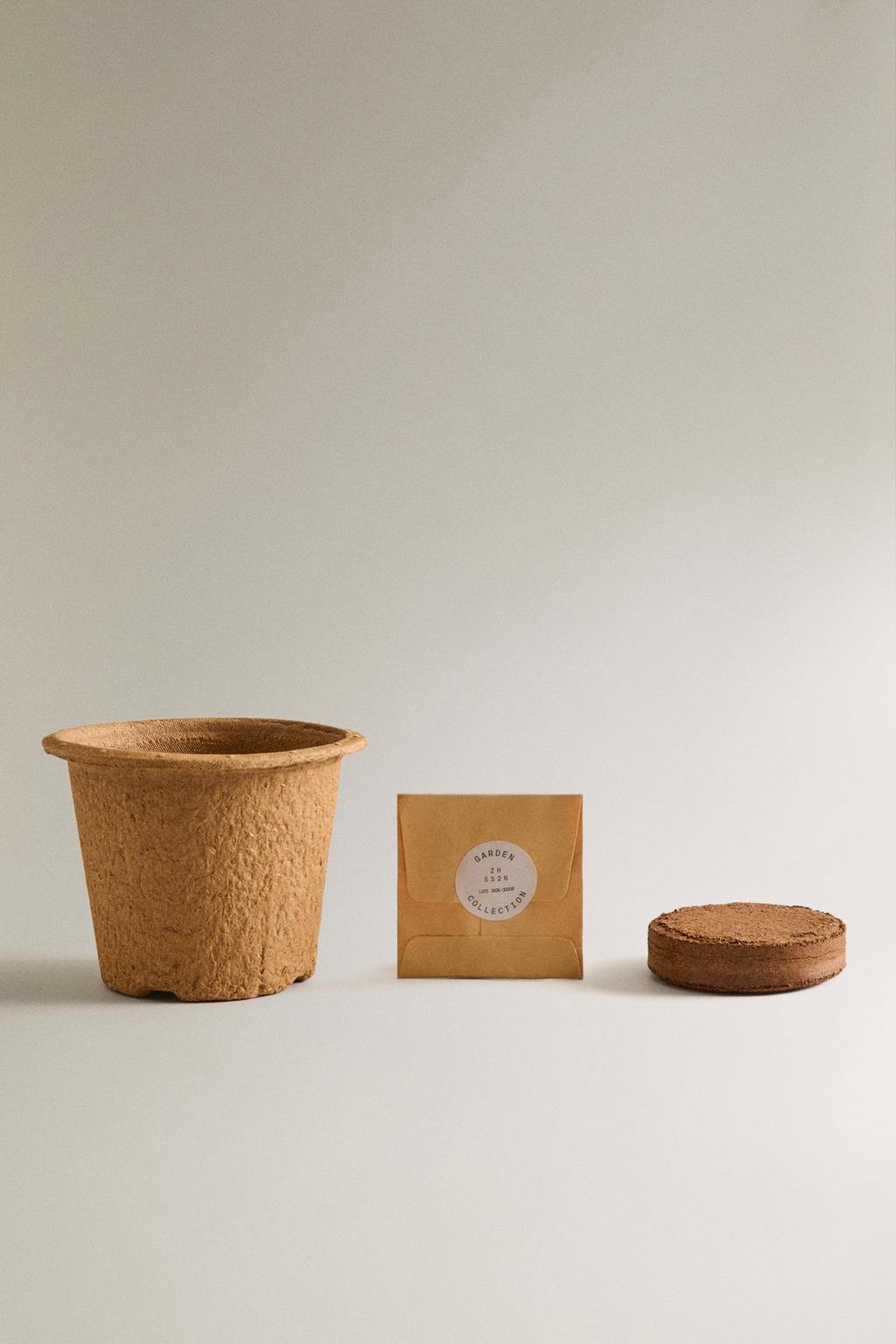 Набор для выращивания семян ели